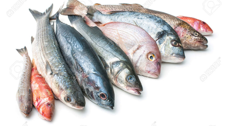 37078333-poisson-frais-de-poissons-et-autres-fruits-de-mer-isolé-sur-fond-blanc